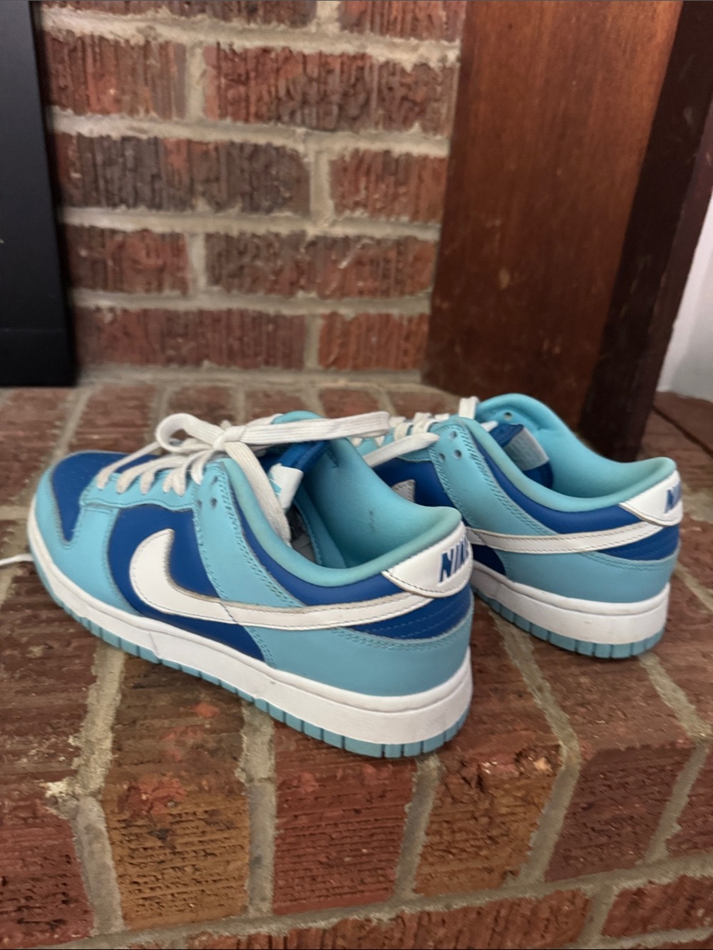 Nike Low-Top Sneakers in Blue and Light Blue